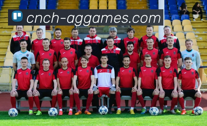 AG真人官网服务体系